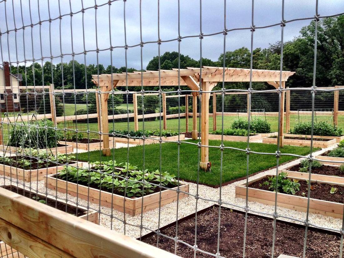 Cedar pergola and garden