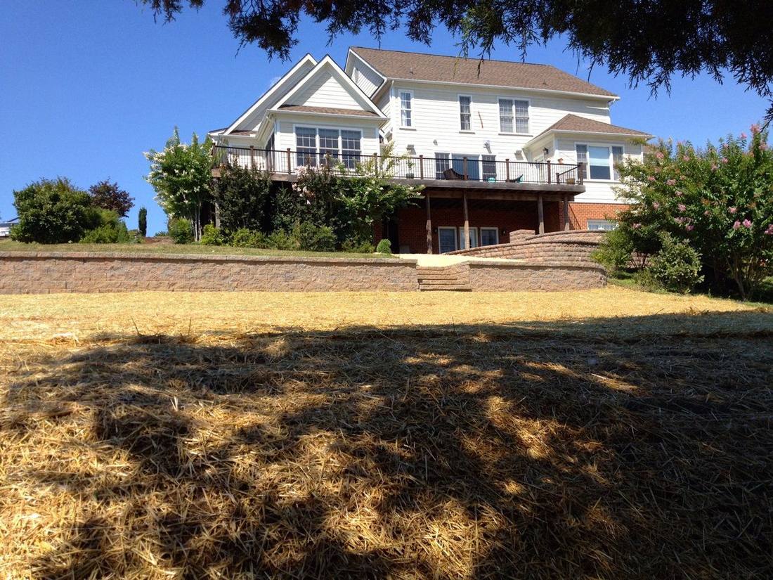 Lawn renovation