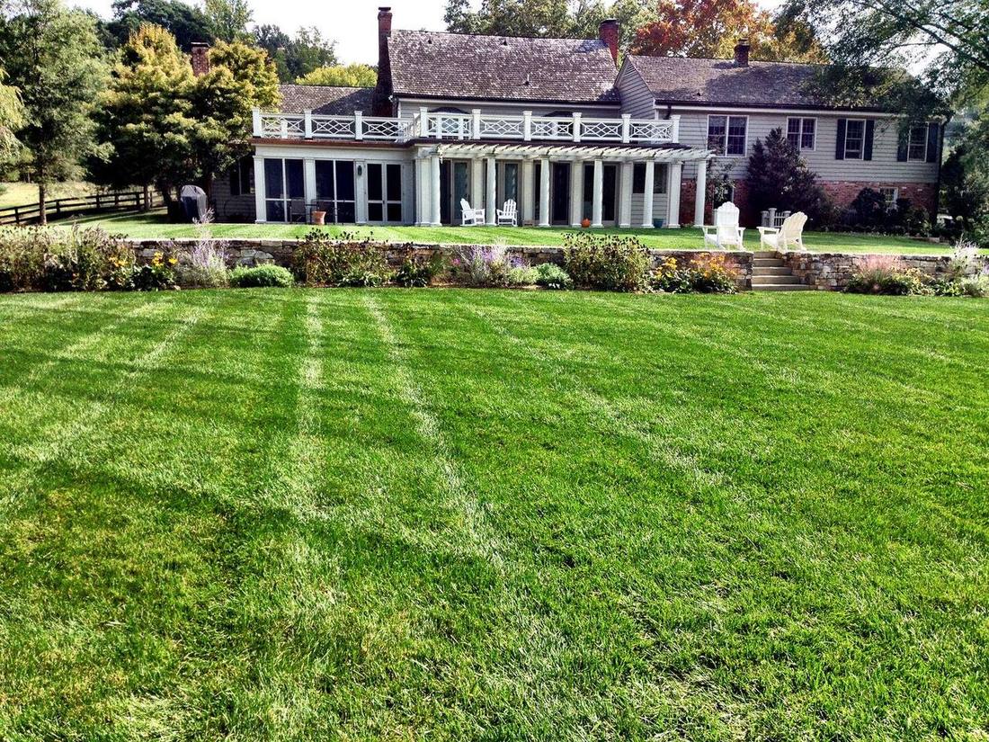 Freshly striped lawn
